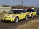 Yellow Minis